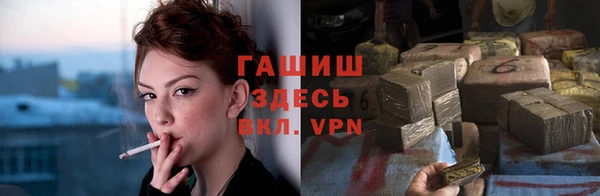 прущие крисы Тында