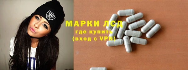 индика Надым
