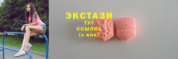 индика Надым