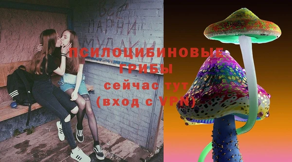 прущий лед Куровское