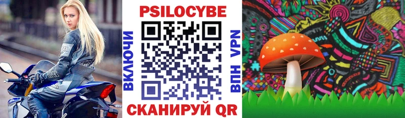 Галлюциногенные грибы Magic Shrooms  KRAKEN сайт  Новочебоксарск 