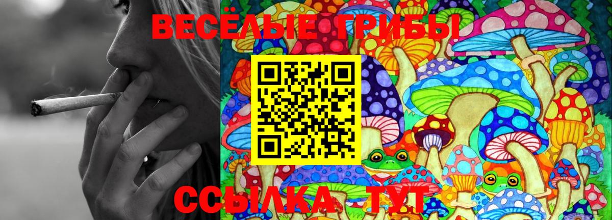Псилоцибиновые грибы Psilocybine cubensis Новочебоксарск