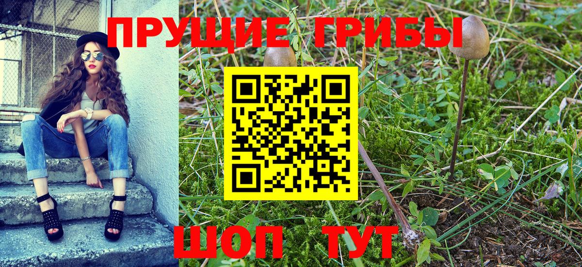 Псилоцибиновые грибы MAGIC MUSHROOMS  Вход с VPN  Новочебоксарск 
